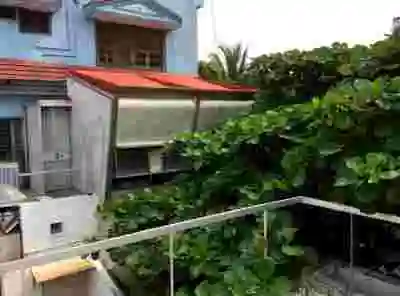 Fotografi taget från balkongen på grönskande växlighet och innergård
