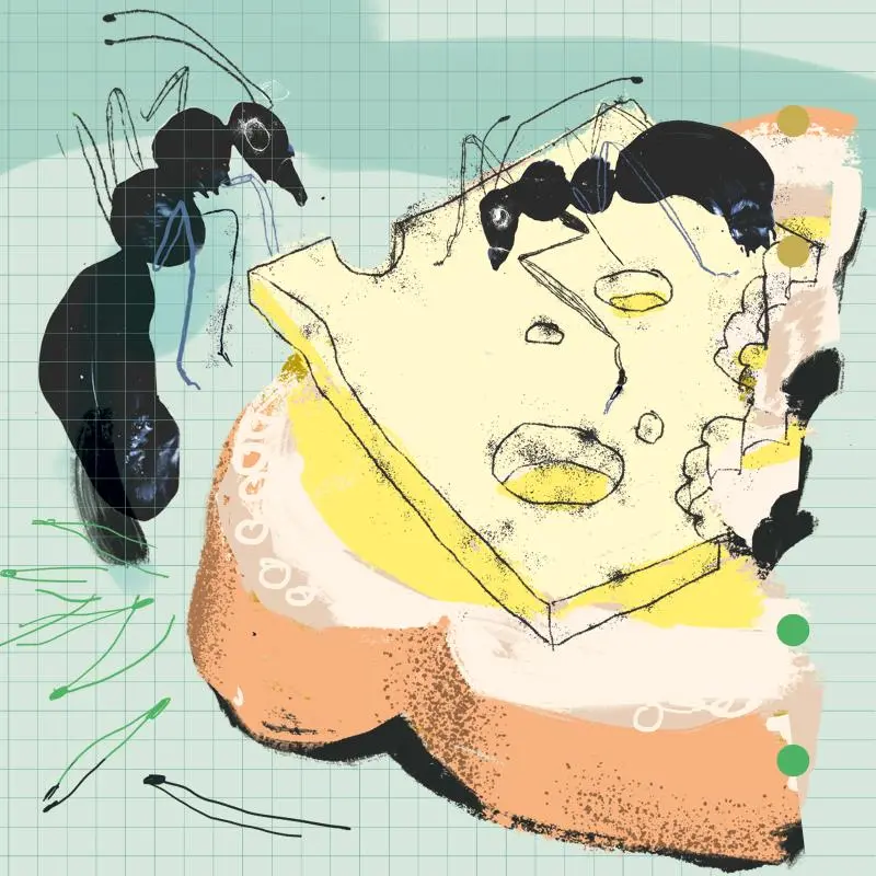 Illustration av Helena Shutrick