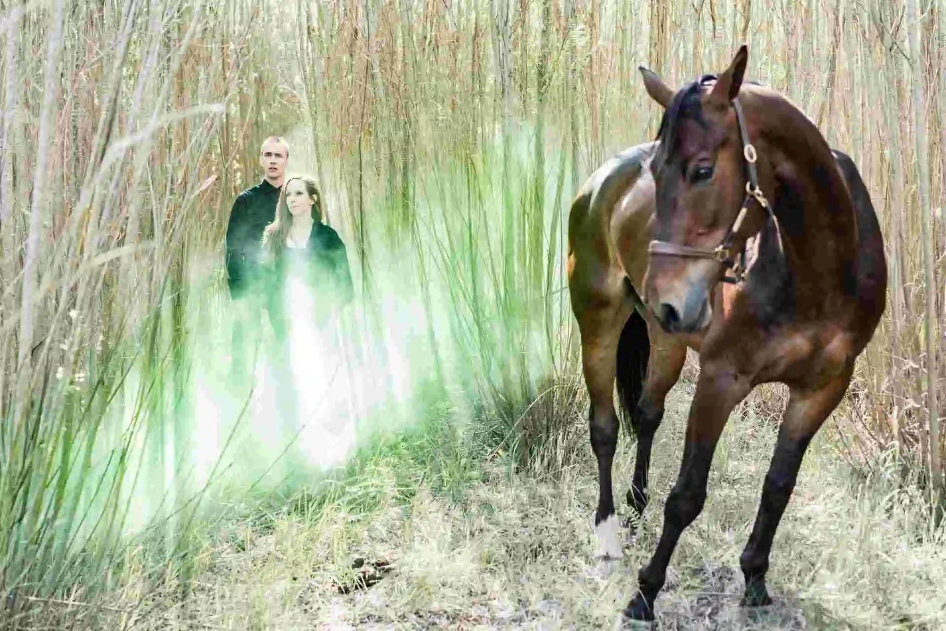 Olle Strandberg och Sara de Vylder i grön rök i högt gräs med en häst i förgrunden.