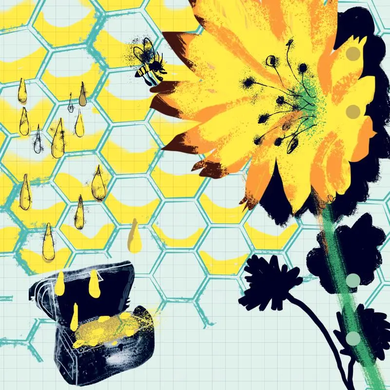 Illustration av Helena Shutrick