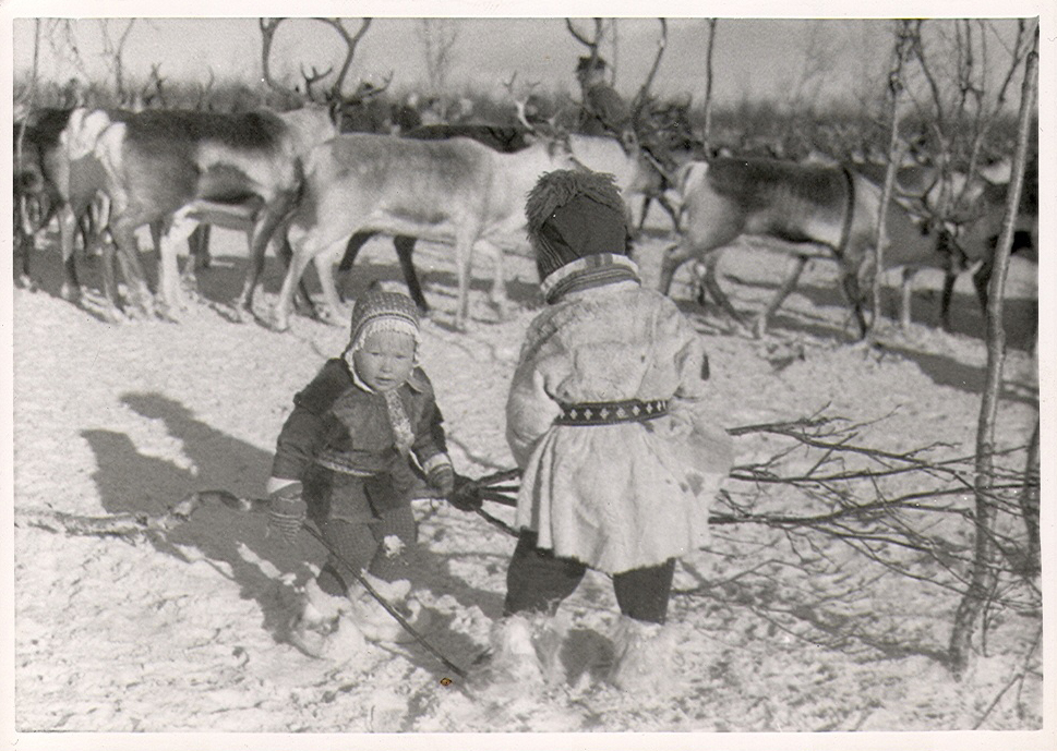 Två samiska barn leker med renar i bakgrunden