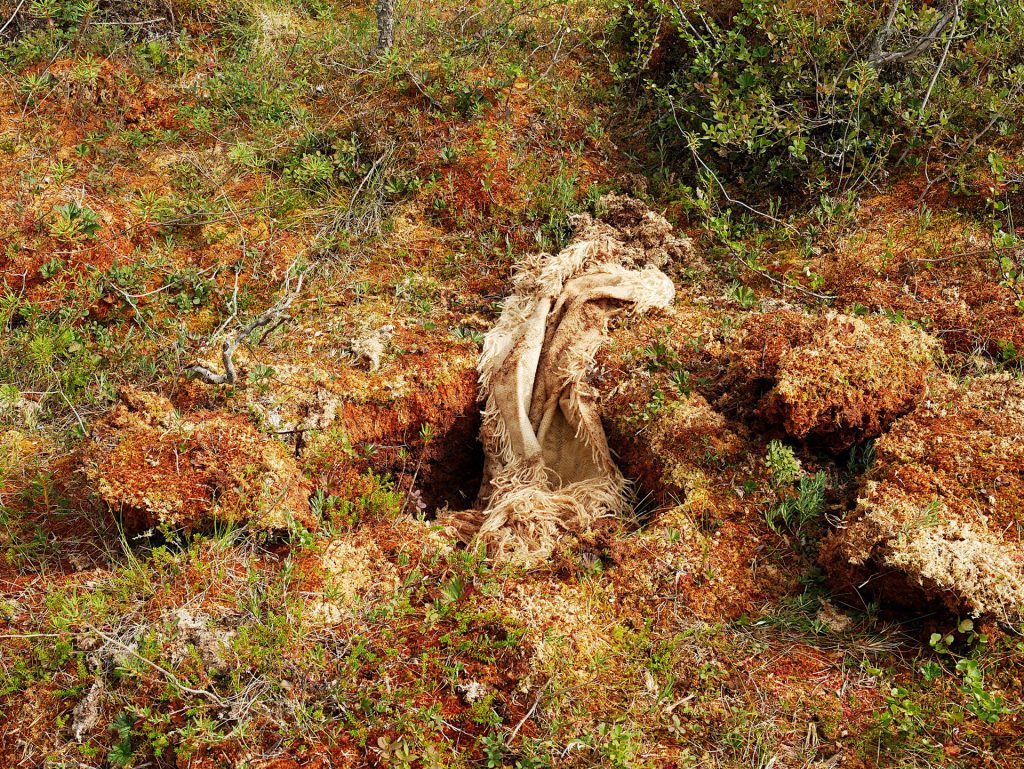 Textile object lying on moss in nature