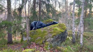 Danskonstnären Adam Seid Tahir i skogen.