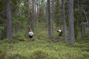 Två konstnärer är ute i skogen.